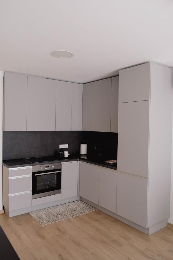 Cosy 1 Bedroom Apartment In The Heart Of Old Town With Parking Kaunas Buitenkant foto